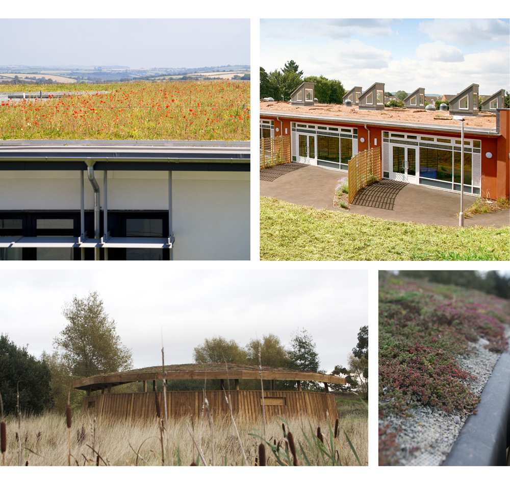 Green Roofs in Devon and Cornwall by Grainge Architects